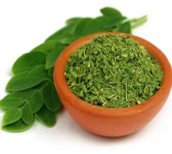 Moringa leaves